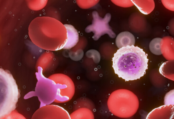Stem Cells: HSC